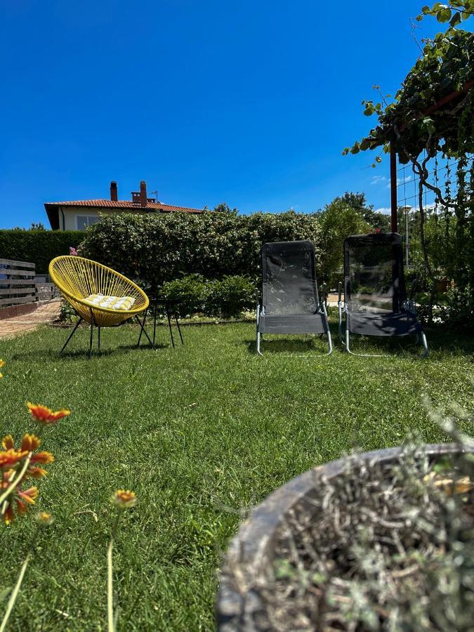 Apartments Dent Umag Bagian luar foto