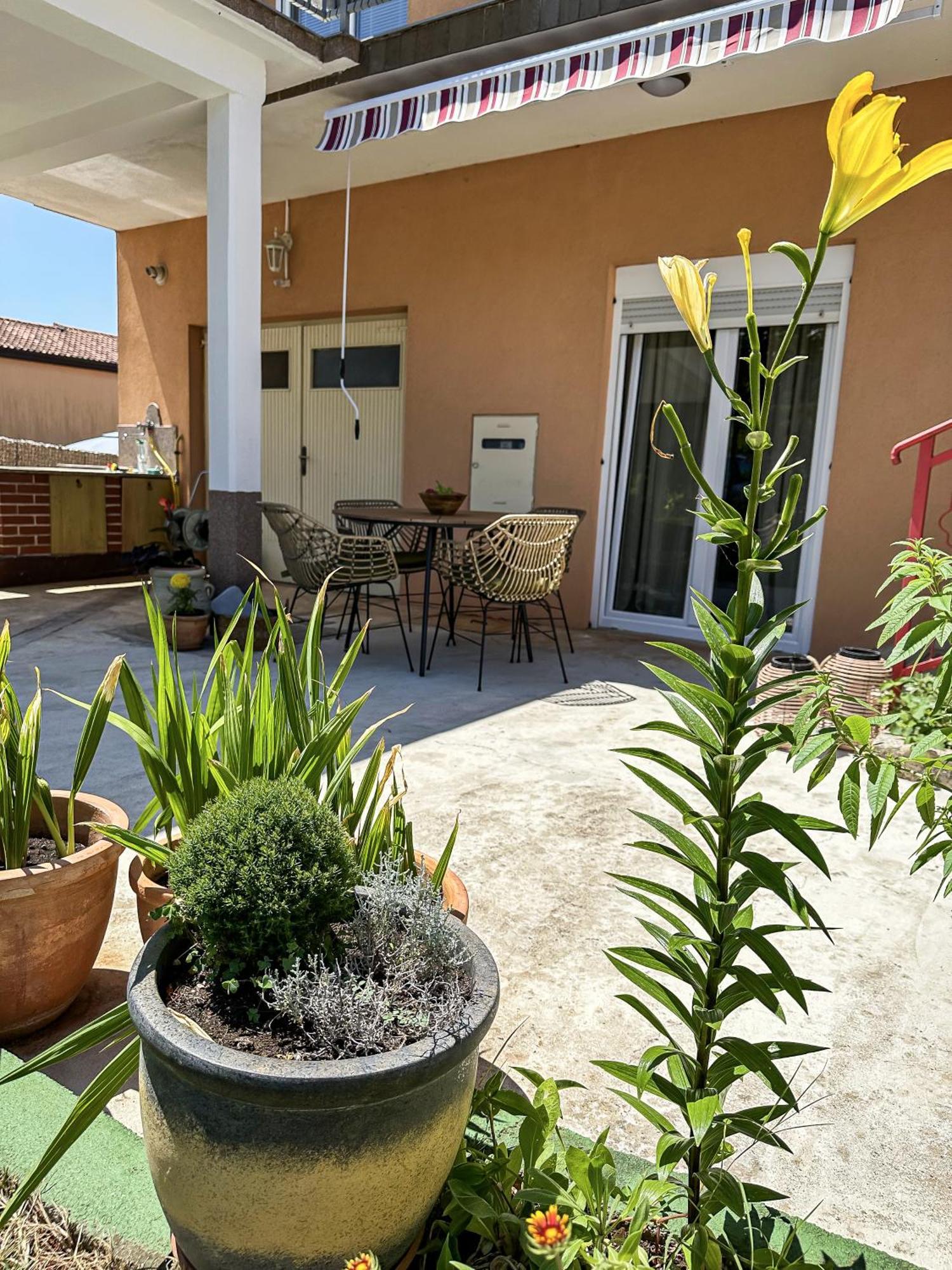 Apartments Dent Umag Bagian luar foto