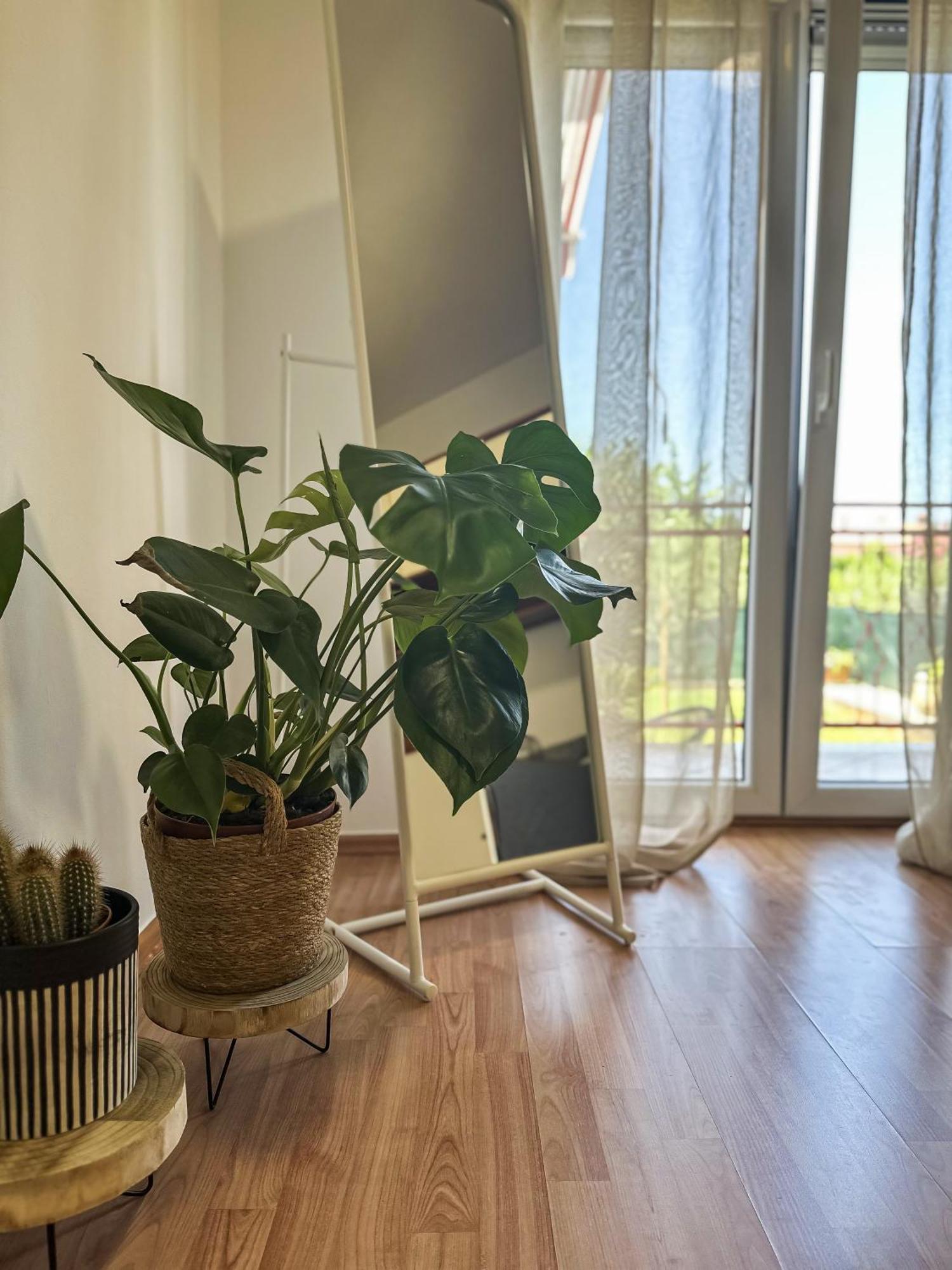 Apartments Dent Umag Bagian luar foto